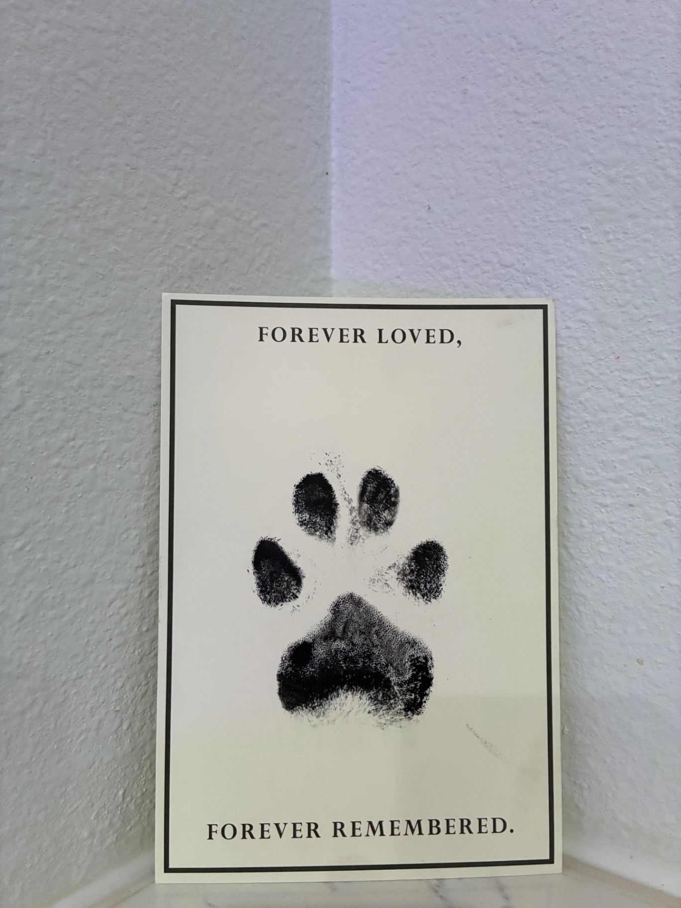Forever Loved, Forever Remembered paw print memorial card