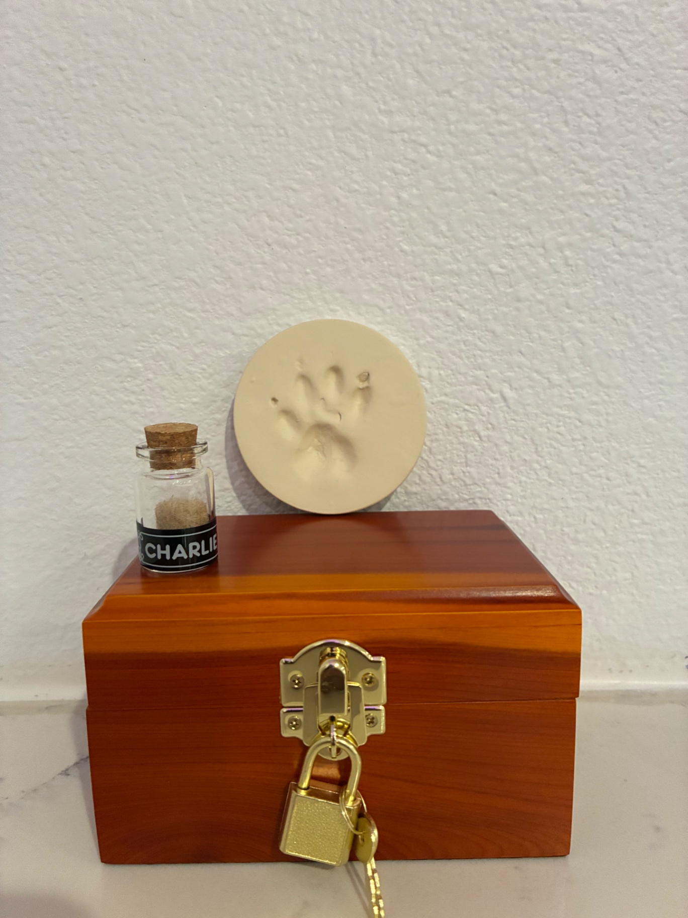 Cedar wood urn with clay paw print and Charlie fur keepsake bottle